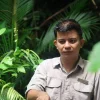 image slideshow