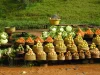 image slideshow