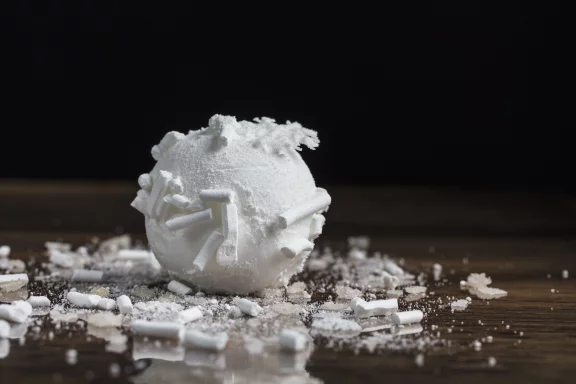 Boule de neige à la poire et aux noix de Grenoble. Photo Matthieu Cellard.
