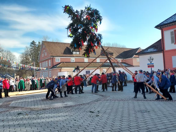 Dans certaines communes, les carnavaliers dressent l'arbre des fous.