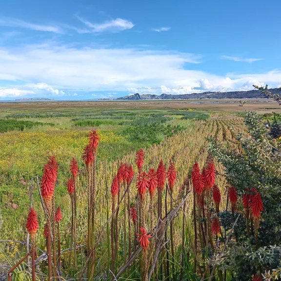 La péninsule de Tililaca à Socca Marka