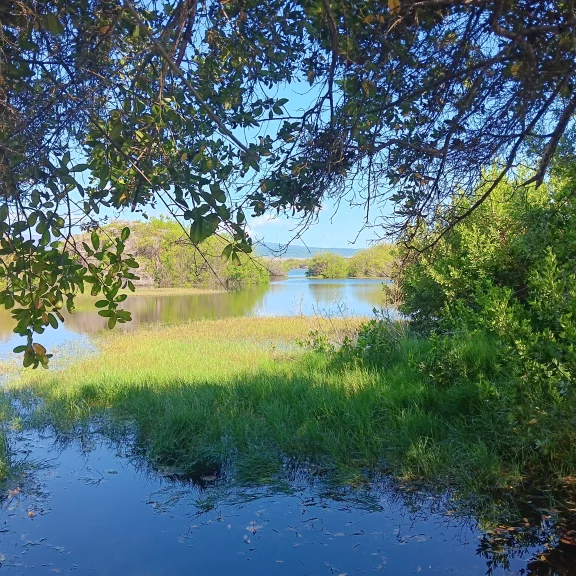 Une lagune sur l'île Isabela