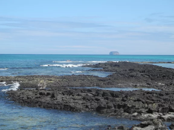 Plage Las Bachas au nord de l'île Santa Cruz