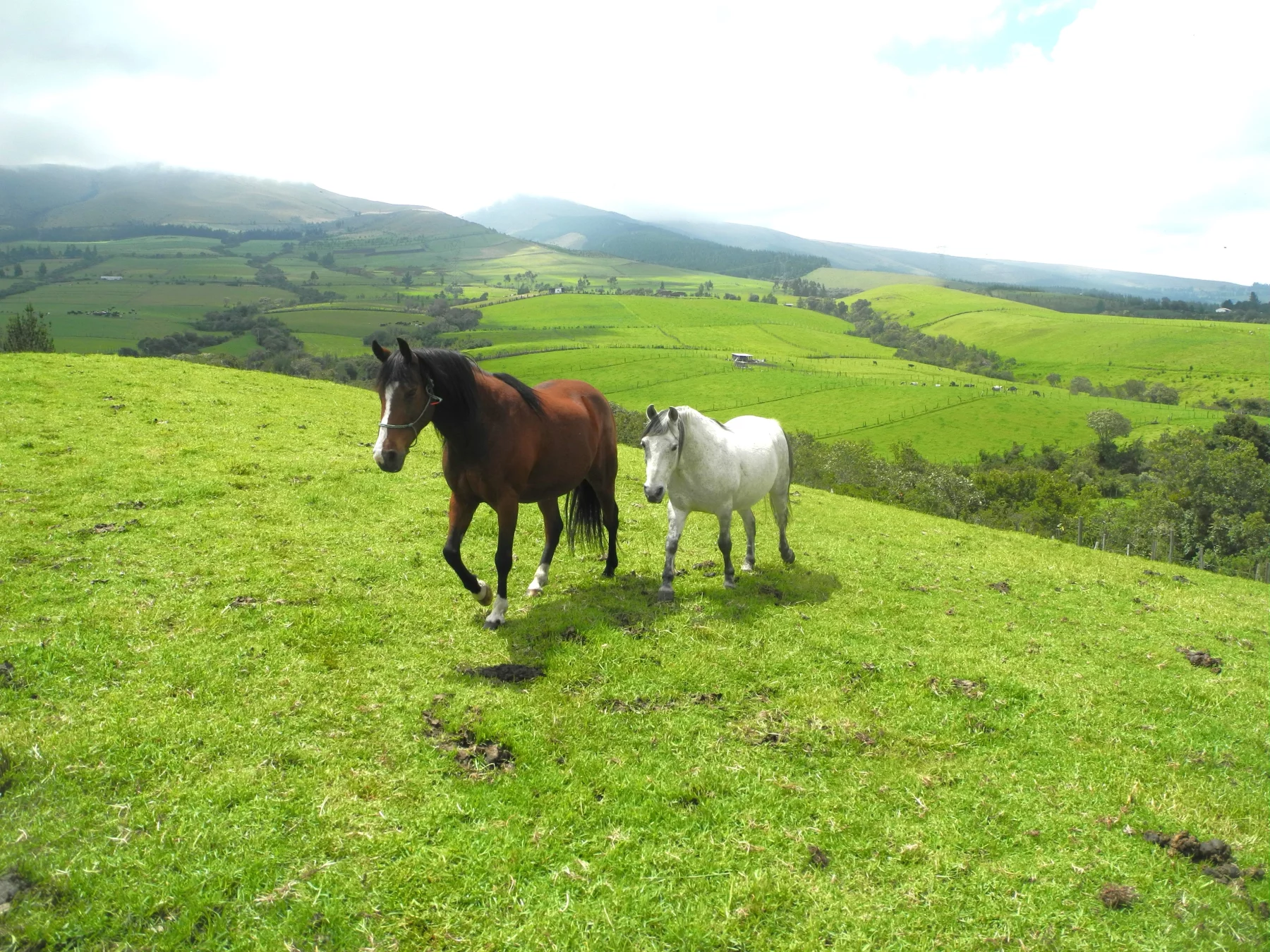 A près de 3500 mètres d'altitude, non loin de Pintag, sur les hautes-terres nourricières andines