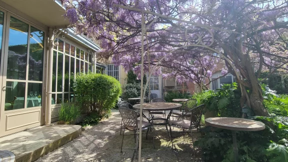 Le jardin sous les glycines.