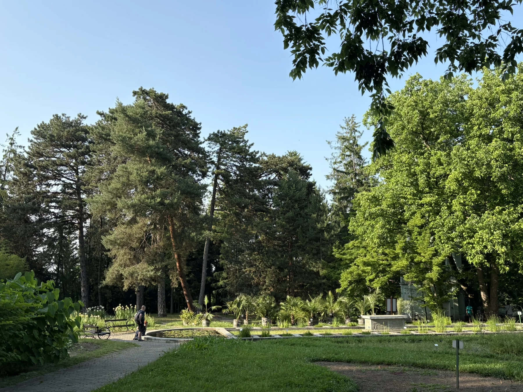 Le Jardin botanique Alexandru Borza à deux pas du centre:et ses multiples atmosphères