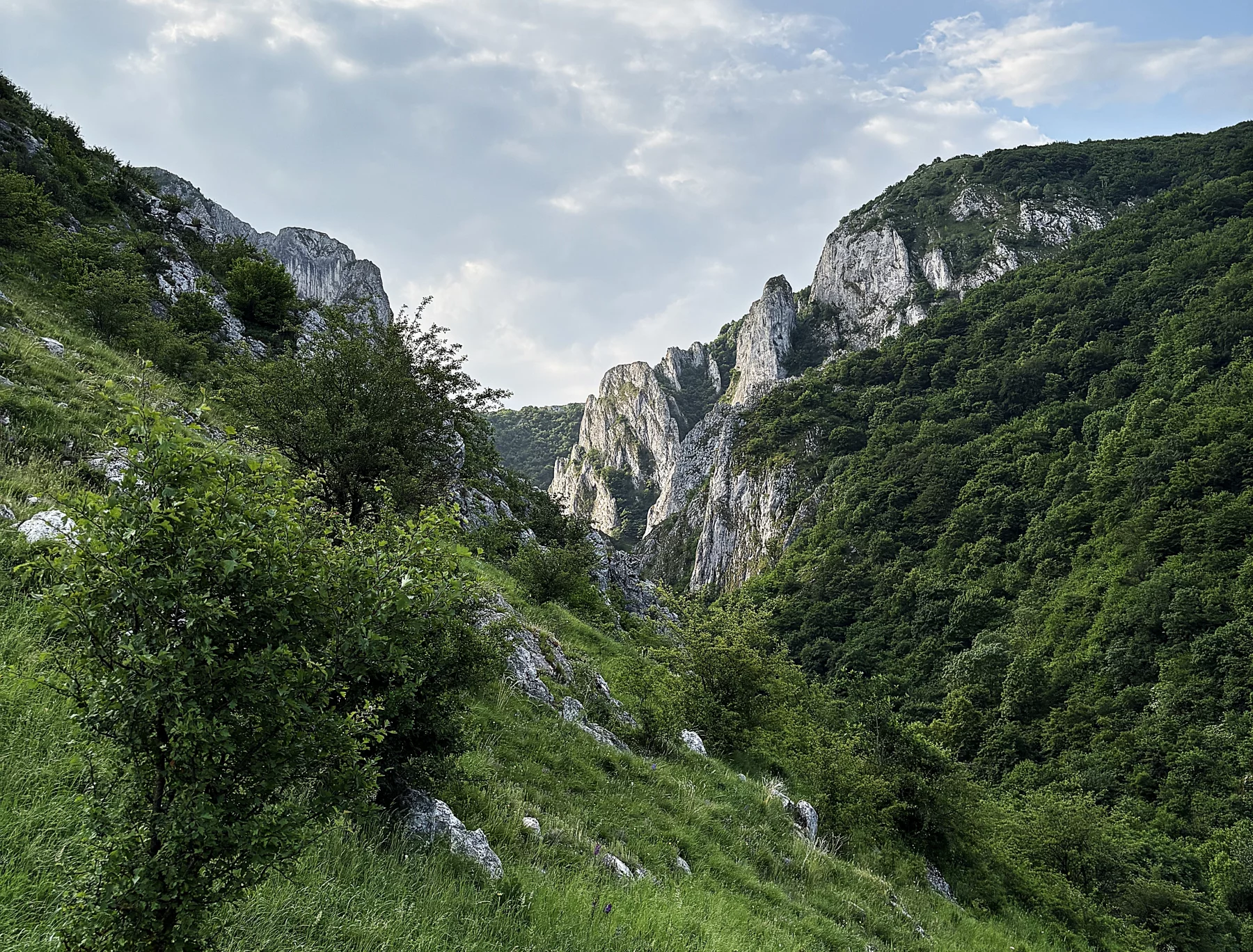 A 35 kms au sud de Cluj, les Gorges de Turda, une des merveilles des "Monts du couchant"