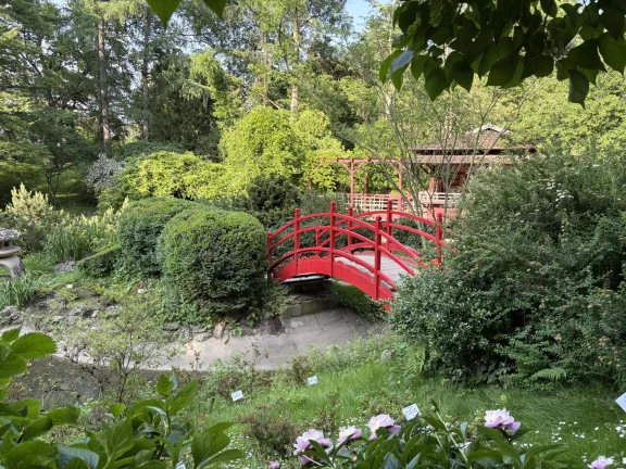 Au Jardin botanique, le jardin japonais