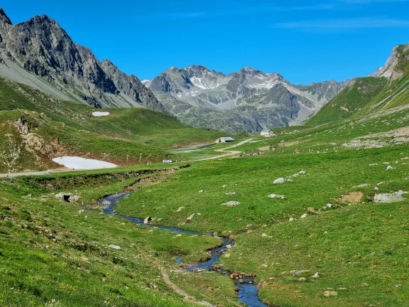En haut du col de l'Albula, c'est le royaume des marmottes.
