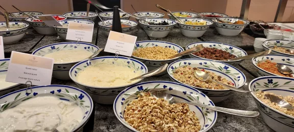 Plusieurs sortes de muesli sont proposées entre autre au buffet de petit-déjeuner de l'hôtel.