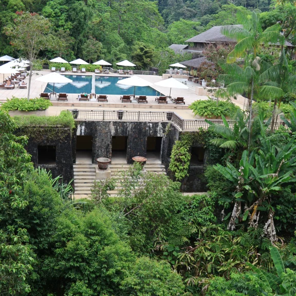 La piscine pour adultes.