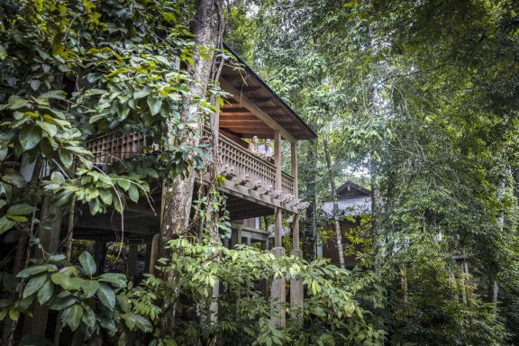 Le Datai Langkawi propose aussi plusieurs villas dispersées au cœur de la forêt tropicale. 