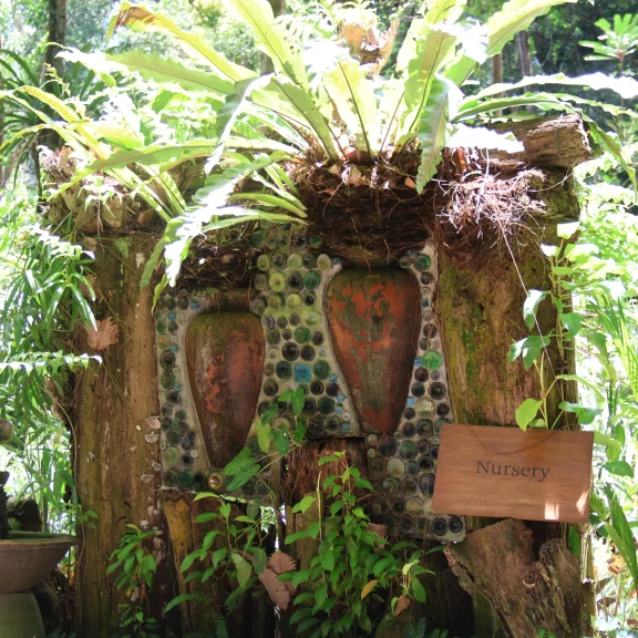 L’entrée de la pépinière.