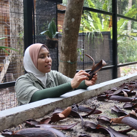 Dans le jardin du Datai Langkawi.