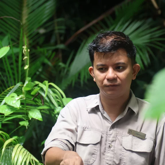 Des spécialistes expliquent volontiers les enjeux écologiques du Datai Langkawi.