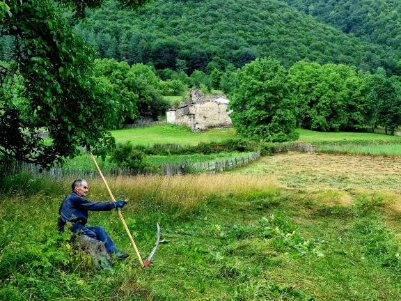 En Svanétie, l'herbe est encore coupée à la faux.