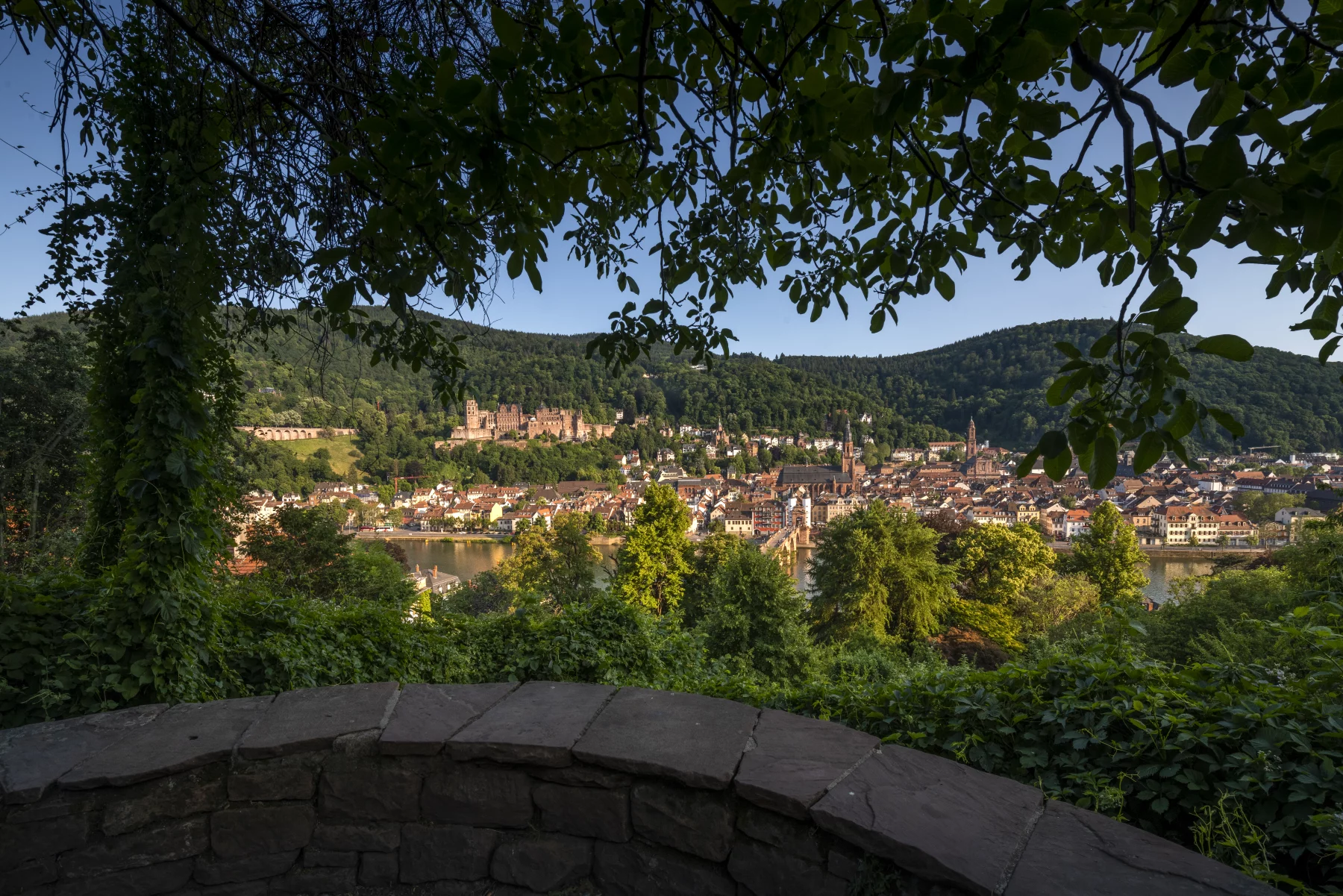 Vue depuis le chemin des philosophes sur la vieille ville et le château. © Heidelberg Marketing