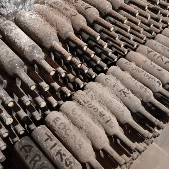 Domaine viticole Tushpa. Taperakan. Vallée d'Ararat Arménie