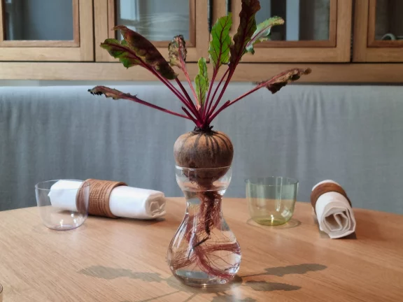 Betteraves ou carottes dans des vases pour décorer les tables, un clin d'oeil à la naturalité du chef.