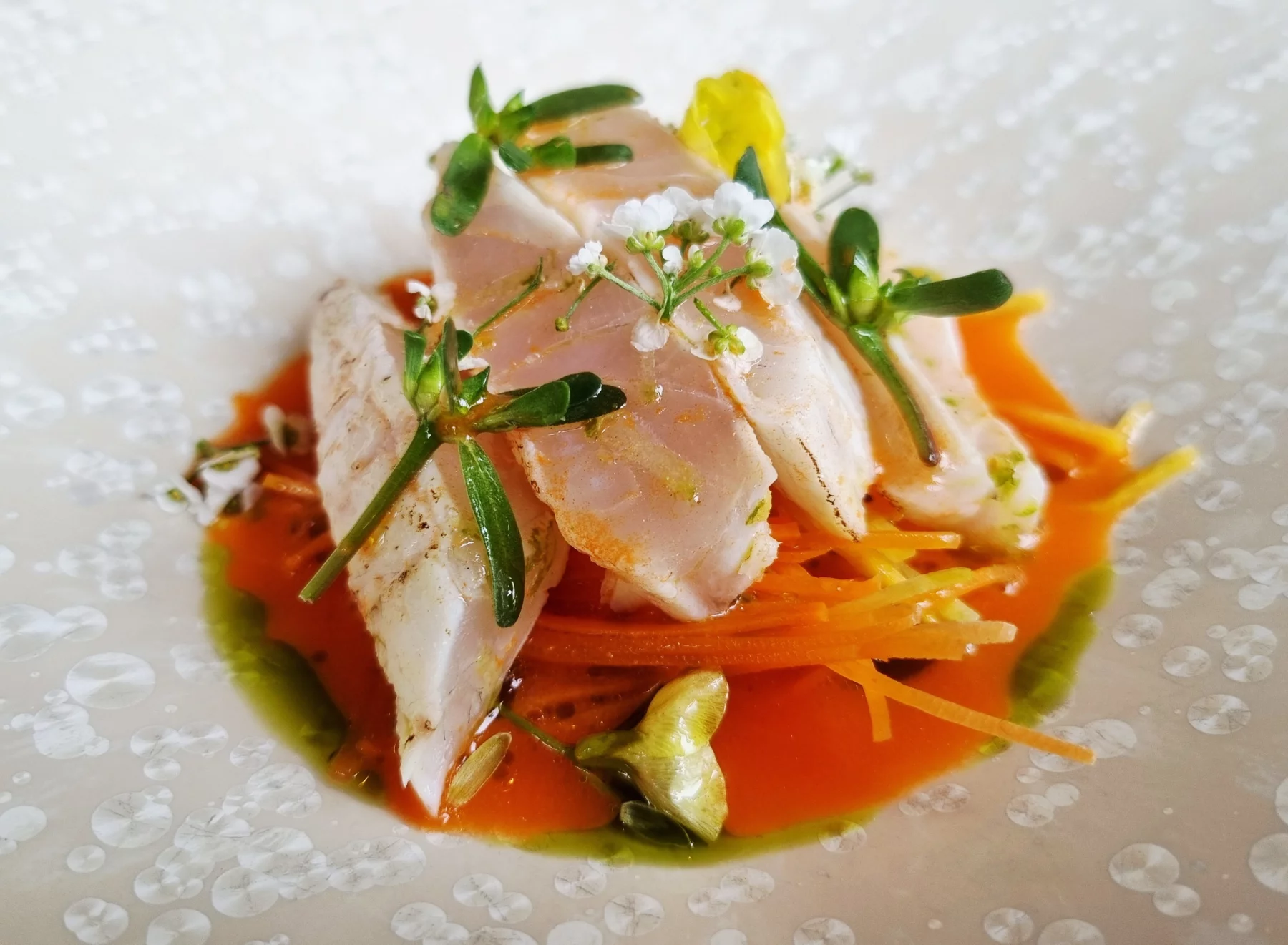 Ceviche de dorade avec ses carottes cuites et crues, sauce peruvienne.