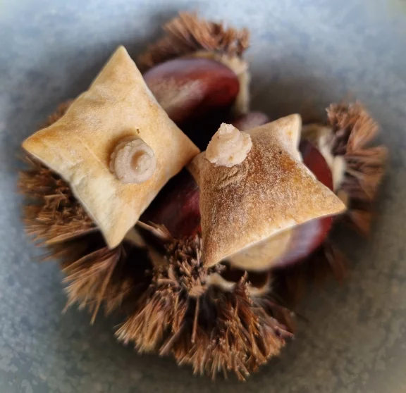 Amuse bouches d'automne.