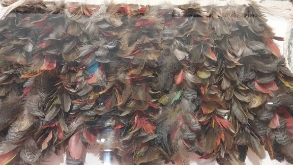 Des coiffes en plumes venant de trois tribus différentes font partie de la collection personnelle de Dalava Duarte.