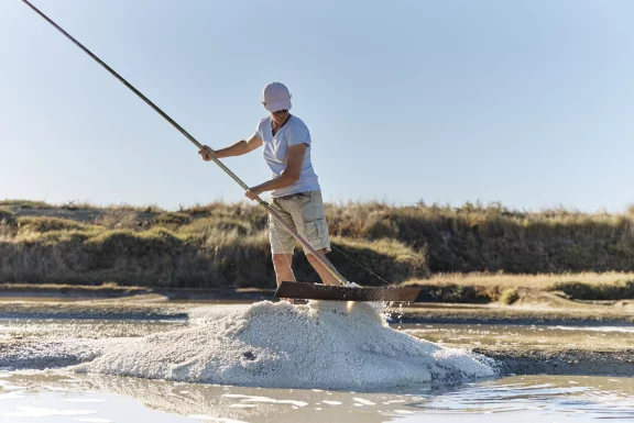 La récolte du sel dans les marais salants de Guérande.