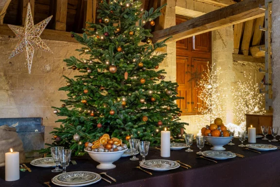 Azay-le-Rideau ©ADT Touraine, photo JC-Coutand