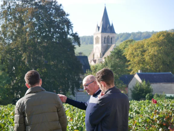 Actuellement, Champagne Terroir travaille avec une soixantaine de vignerons.