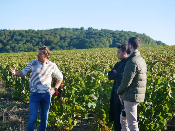Visite dans les vignes.