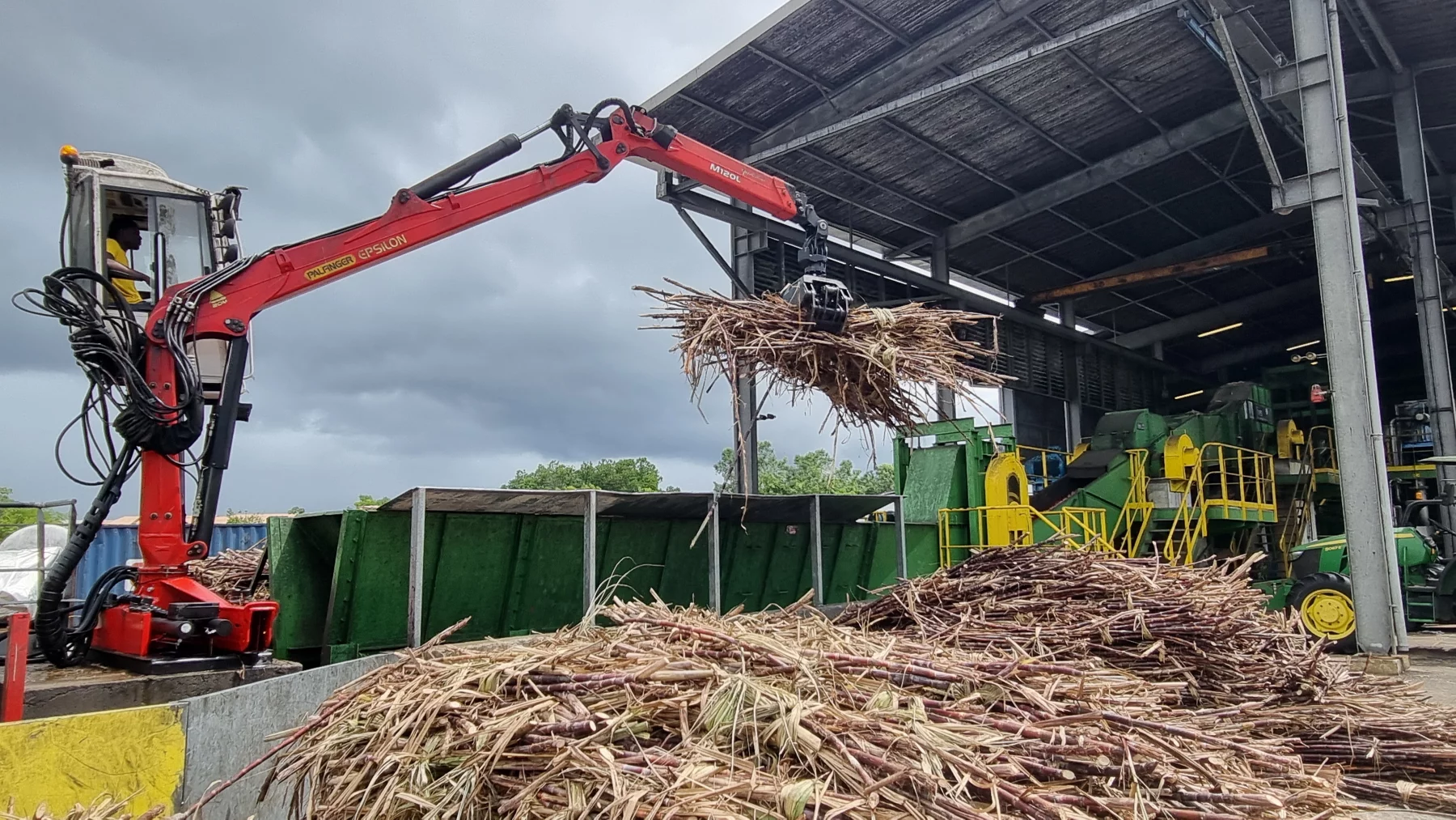 L'arrivée de la canne à sucre à la rhumerie.