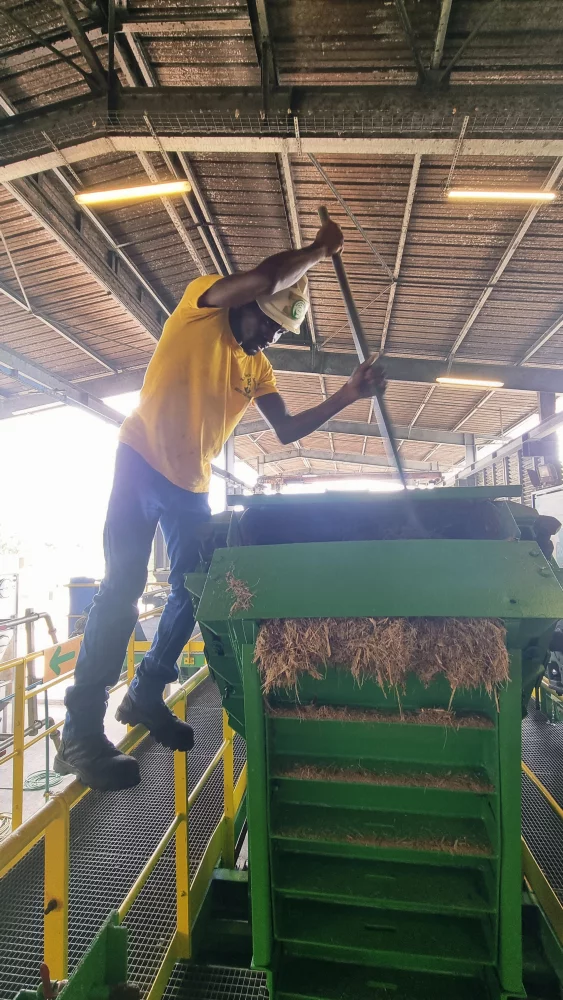 Travail à la rhumerie.