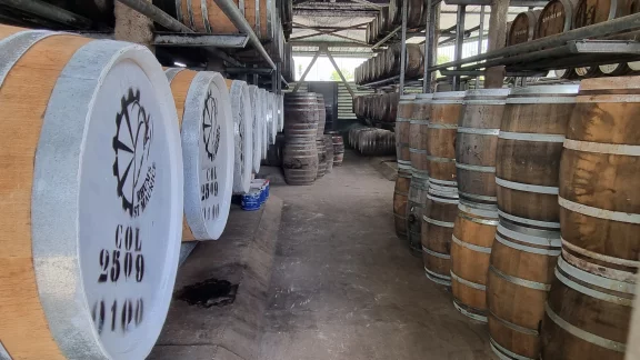 Vieillissement des rhums dans des tonneaux de chêne.