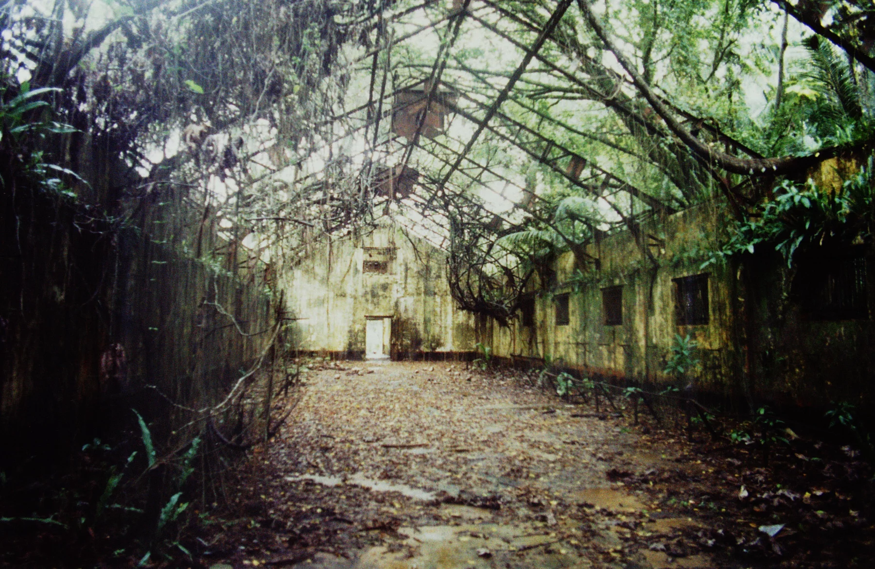 Sur l'île Saint-Joseph, la végétation reprend ses droits sur le bagne. Ici le dortoir des réclusionnaires.