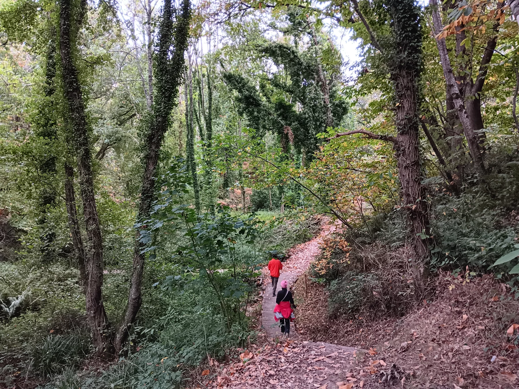 A Ploumanac'h, une autre façon de goûter à la magie du Trégor