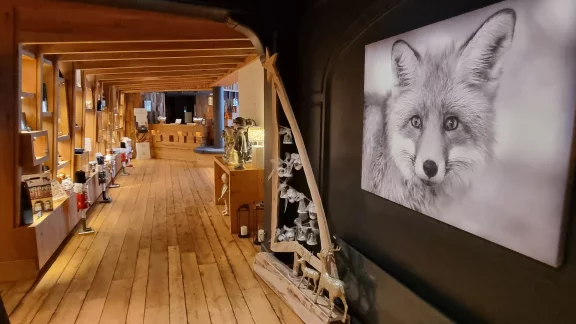 Dans le regard de maître renard.