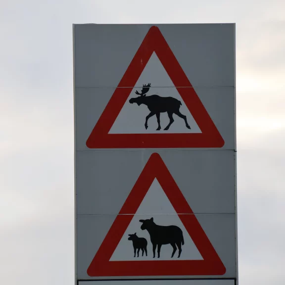 Des panneaux routiers particuliers.