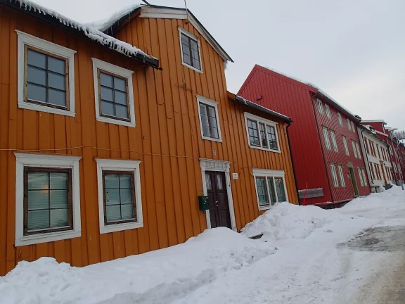 Maisons à façades en bois colorées à Tromso.