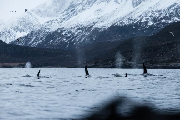 Photo Valentin Pilate