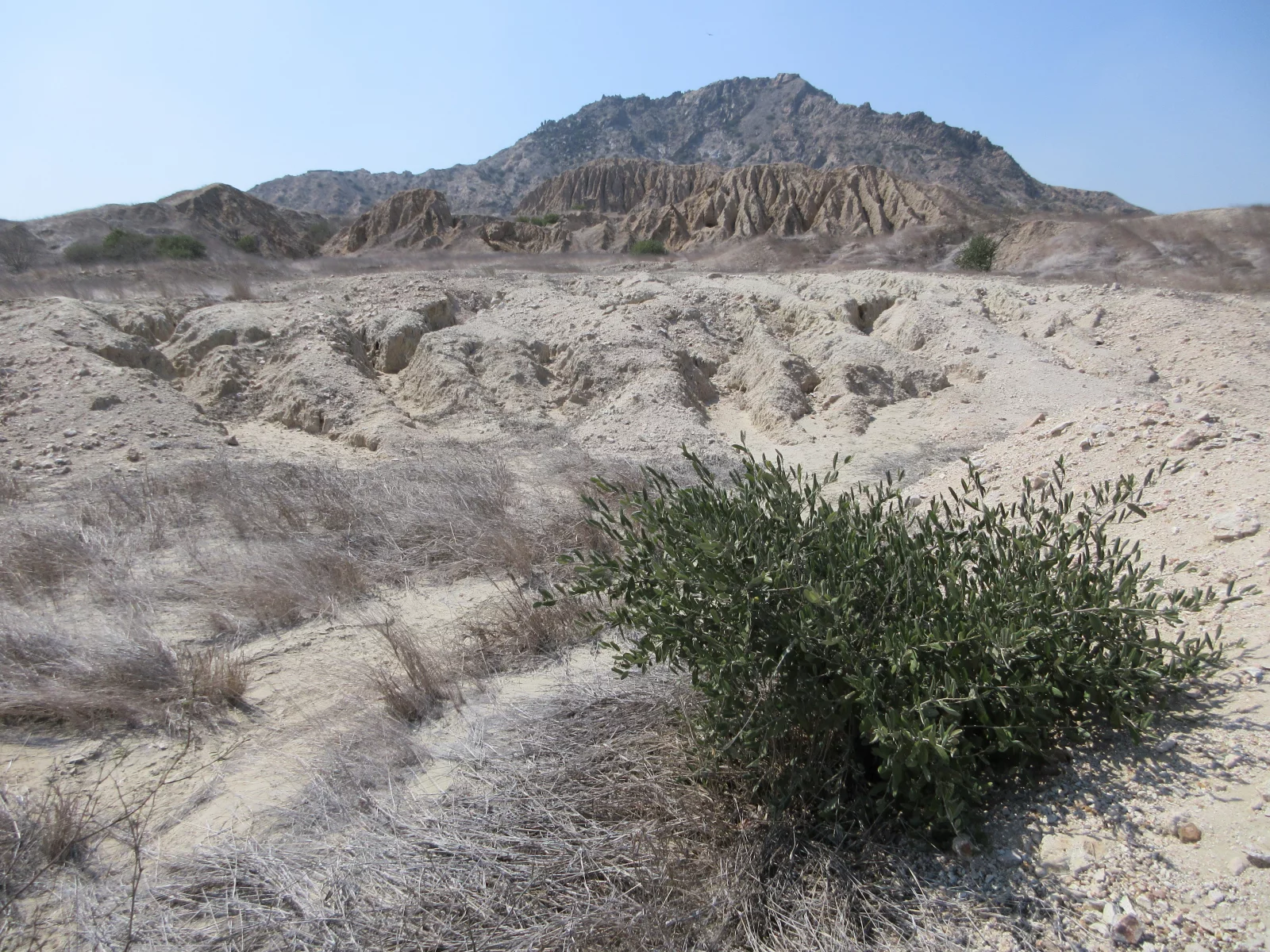 Tucumé, "la vallée des pyramides", les Huacas de la civilisation de Lambayeque