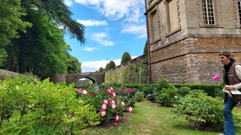 Dans les douves du château de Sourches, Bénédicte de Foucaud cultive des milliers de pivoines.