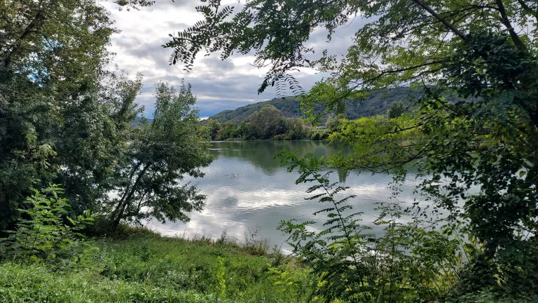 Le tracé de la ViaRhôna change souvent de visage.