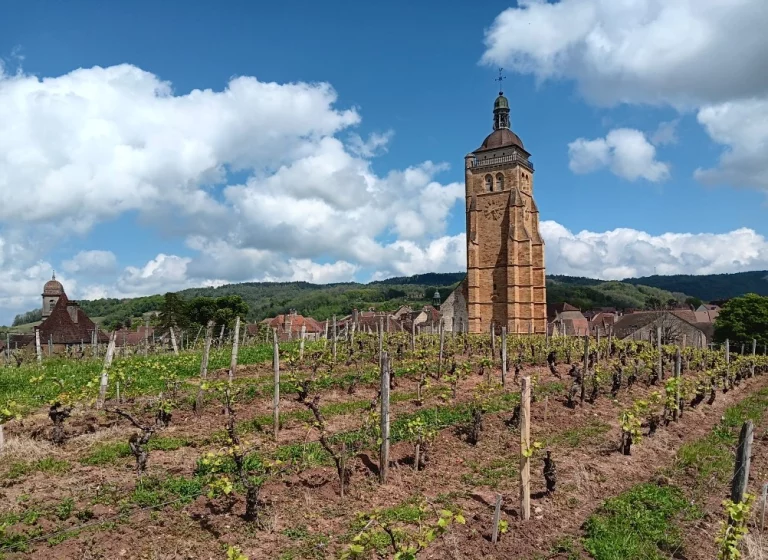 Arbois et son beffroi