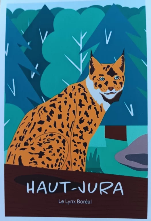 Haut-Jura Le lynx Boréal. Manon Rob
