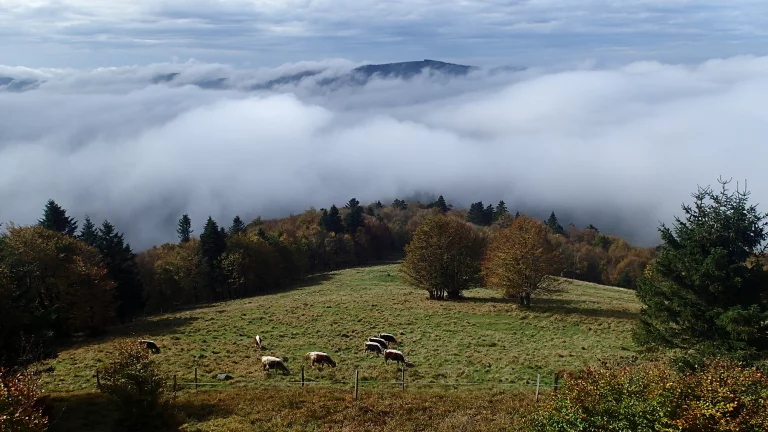 Lorsque la vallée est dans la brume, il fait beau sur les hauteurs