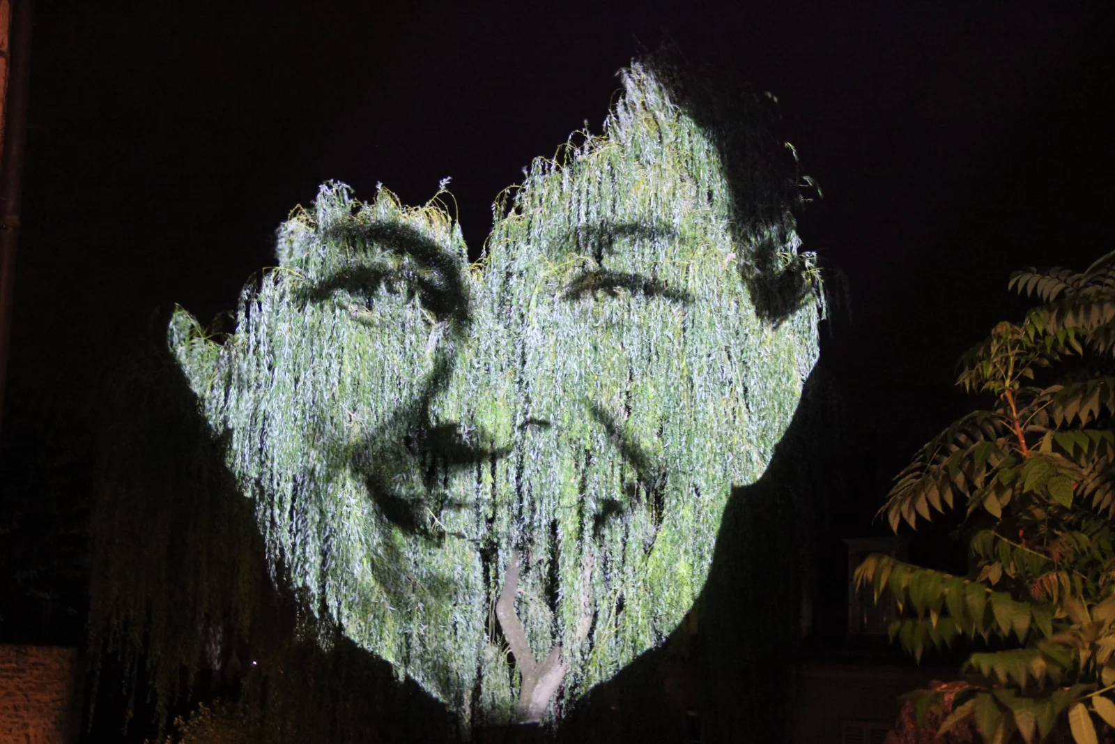 Lors des Nuits de la Chimère, les arbres se transforment en visages.