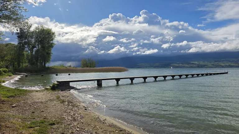 La Grande Cariçaie entre Cheyres-Châbles et Estavayer-le-Lac.