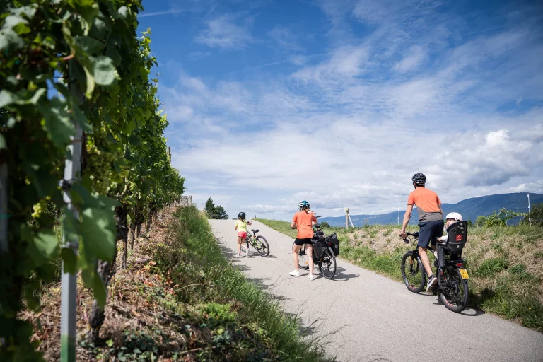 De nombreuses pistes cyclables sillonnent le territoire.