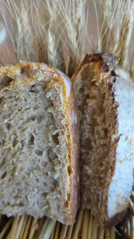 Pains aux blés anciens, écrasés sur meule de pierre, travaillés au levain et infusés au foin de montagne.