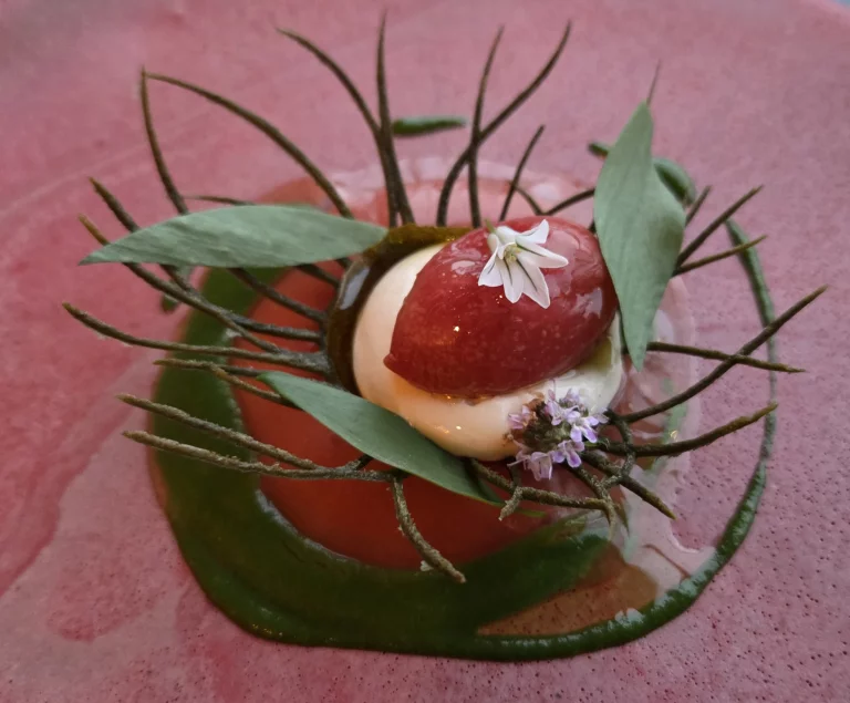Tomate conservée à l'eau de mer, ail des ours, mozzarella végétale, et coulis de tomate fermentée.